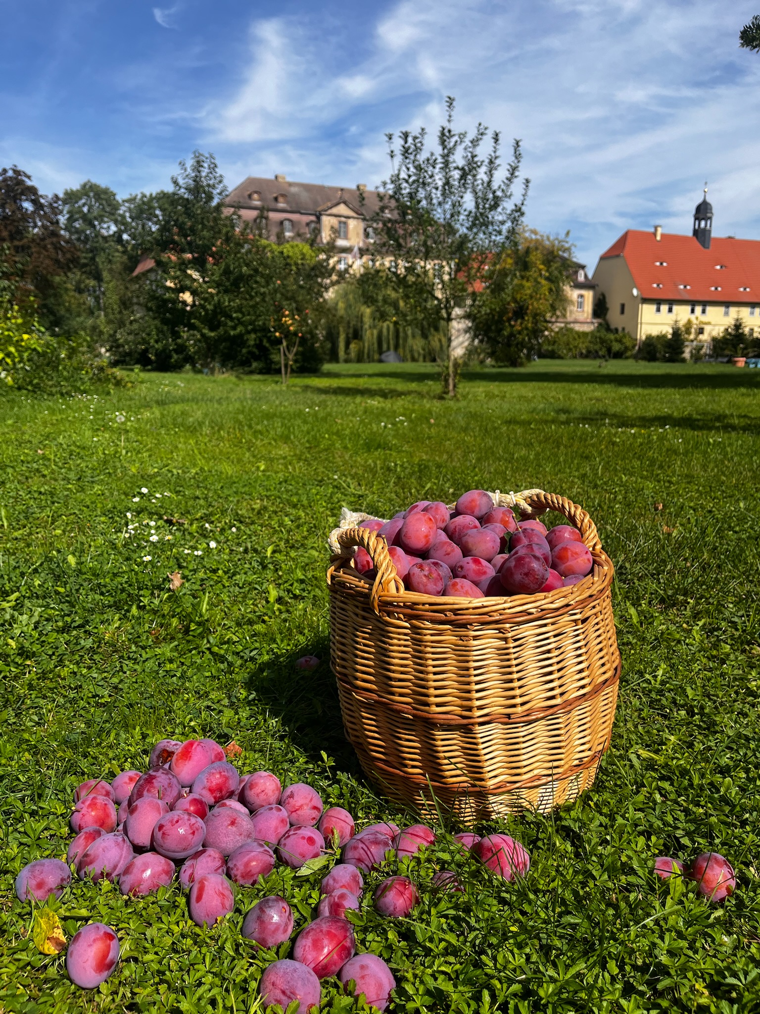 Stimmungsvoller Schlosspark Bündorf in Sachsen-Anhalt mit altem Baumbestand