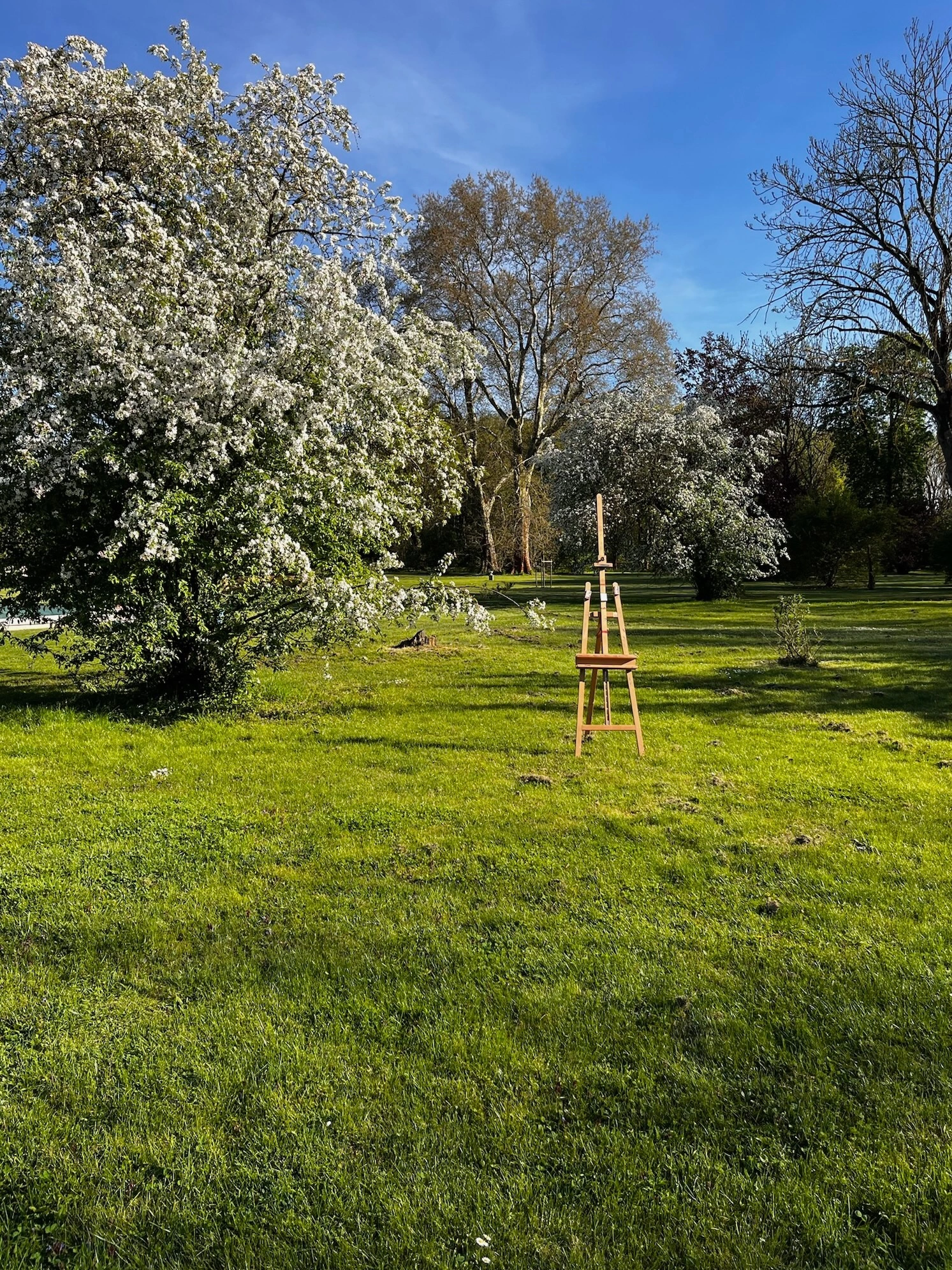 Malen im Schlosspark Bündorf, kreatives Kulturprogramm auf Schloss Bündorf